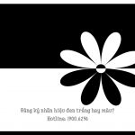 Đăng ký nhãn hiệu đen trắng hay màu?